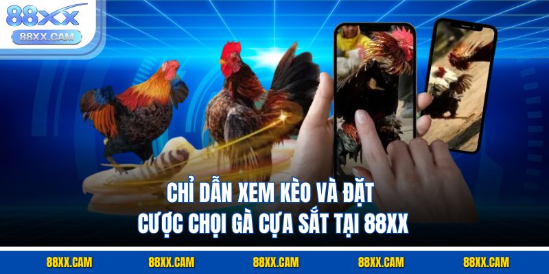 Chỉ dẫn xem kèo và đặt cược chọi gà cựa sắt tại 88XX Chỉ dẫn xem kèo và đặt cược chọi gà cựa sắt tại 88XX