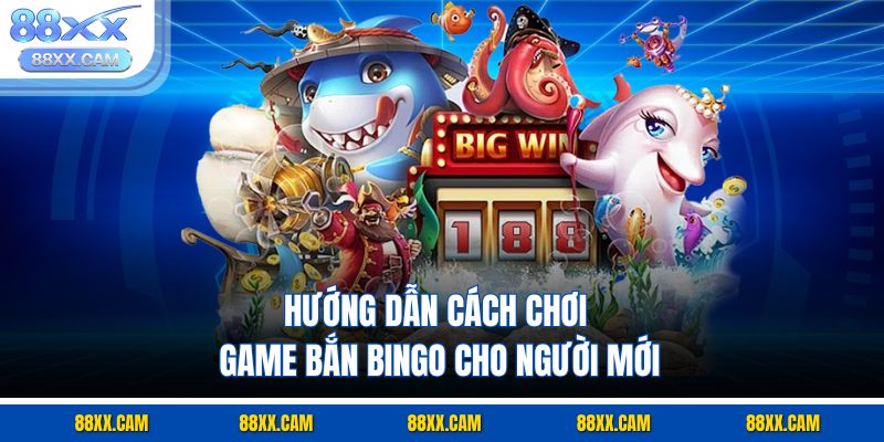 Hướng dẫn cách chơi game bắn bingo cho người mới Hướng dẫn cách chơi game bắn bingo cho người mới